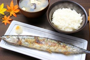 【秋刀魚の旬】築地市場の仲買人直伝 新鮮なサンマの選び方 3つのポイント