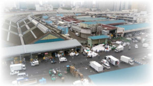 築地場内市場は移転完了! 残される《築地場外》は元気です!