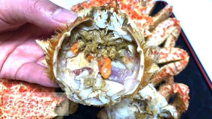 【豊洲市場ドットコム】の「産直」お取り寄せ!今が旬!おすすめ『桜かに』食べてみた【正直レビュー】