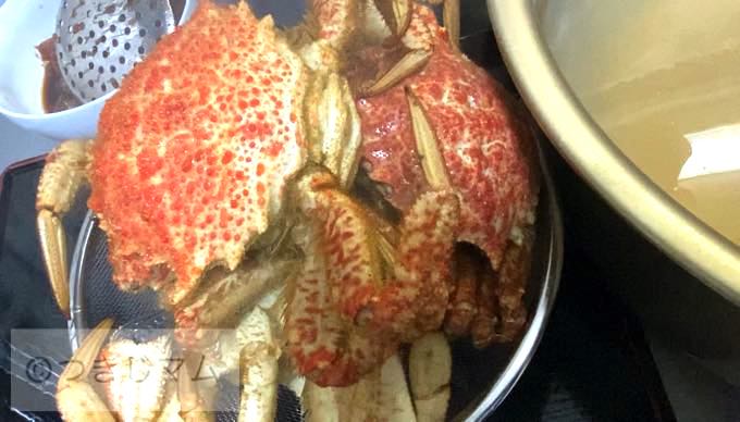 【豊洲市場ドットコム】さんで「産直」お取り寄せ!おすすめ『桜かに』食べてみた【正直レビュー】