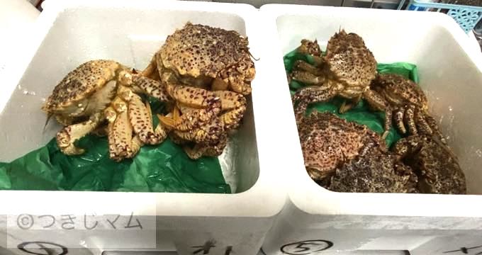 【豊洲市場ドットコム】さんで「産直」お取り寄せ!おすすめ『桜かに』食べてみた【正直レビュー】