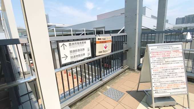 【豊洲市場でお買い物】お土産は何がいいかな?穴場ランチも知りたいな・・市場人おすすめの『お土産ベスト3』と『まぐろ定食』